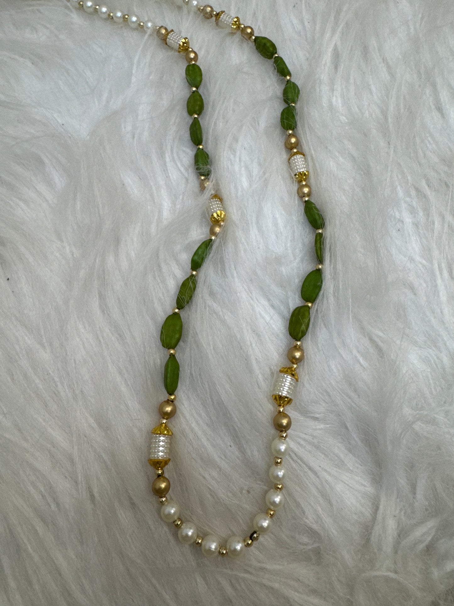 Welcome / Swagat Mala