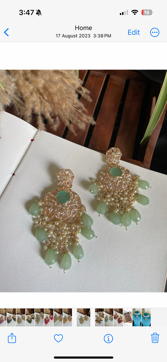Earrings