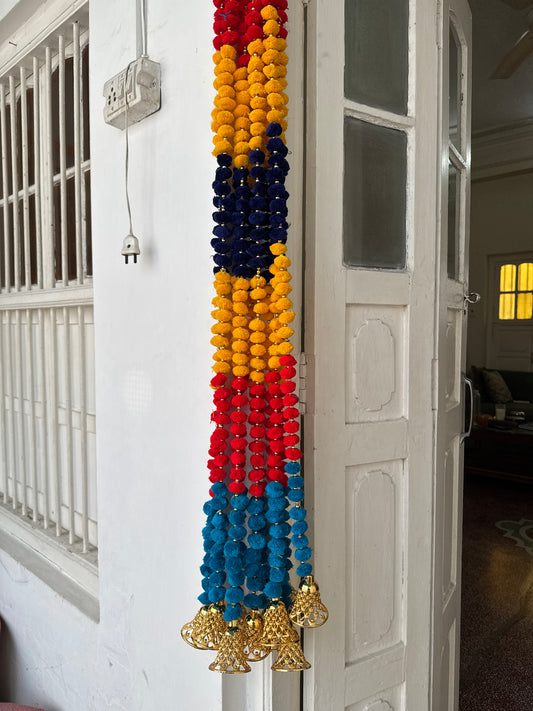 Door Toran