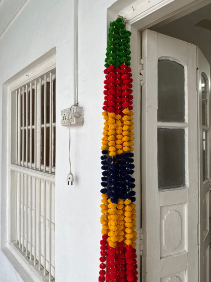 Door Toran