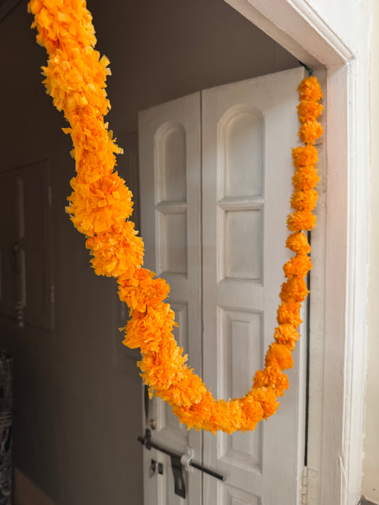 Door Toran